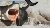 MEDIA - 6-HEADED SHARK ATTACK Image Gallery Previews