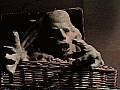 Picture of Basket Case 2 / 9