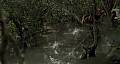 Picture of Black Water 37 / 61