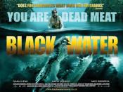 Picture of Black Water 61 / 61