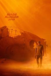 Photo de Blade Runner 2049 45 / 48