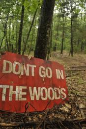 Photo de Don't Go in the Woods 4 / 4