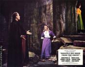 Photo de Dracula et les femmes 9 / 25