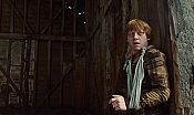 Photo de Harry Potter et les Reliques de la Mort: Part I 95 / 118