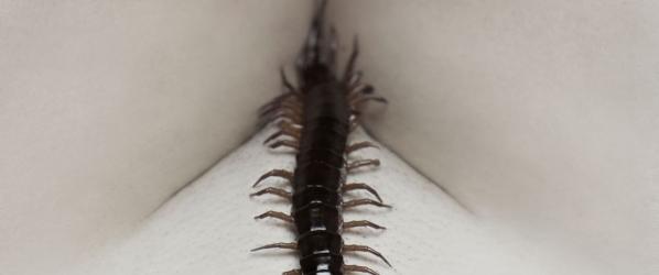 MEDIA - - New Poster