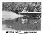 Picture of 'Gator Bait 9 / 15