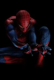 Photo de The Amazing Spider-Man 78 / 135