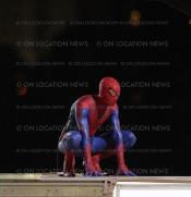 Photo de The Amazing Spider-Man 81 / 135