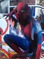 Photo de The Amazing Spider-Man 132 / 135