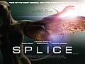 SPLICE Gorgeous New UK Quad for Vincenzo Natalis SPLICE