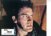 Picture of Evil Dead 11 / 53
