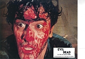 Picture of Evil Dead 15 / 53