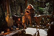 Photo de Hobbit : un Voyage Inattendu, Le 91 / 187