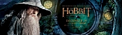 Photo de Hobbit : un Voyage Inattendu, Le 98 / 187