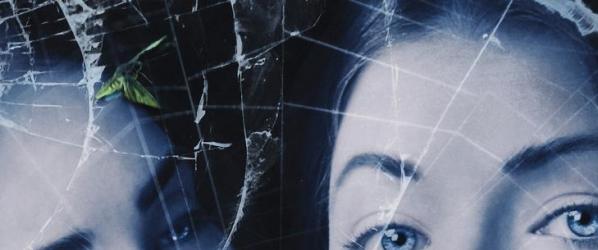 MEDIA - THE MOTH DIARIES - Trailer and Poster Debut