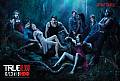Picture of True Blood 102 / 209