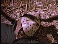 Picture of Friday the 13th Part III 9 / 61