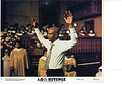Picture of J.D.'s Revenge 1 / 9