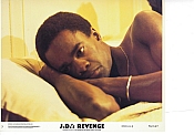 Picture of J.D.'s Revenge 4 / 9