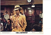 Picture of J.D.'s Revenge 6 / 9