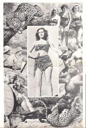 Picture of Wild Women 2 / 5